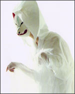 Mimi Kato's solo exhibition for CAM