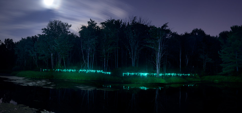 Retro-Reflections on Sculpting Nature