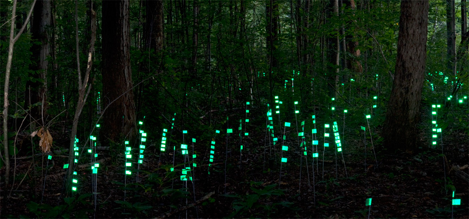 Retro-Reflections on Sculpting Nature